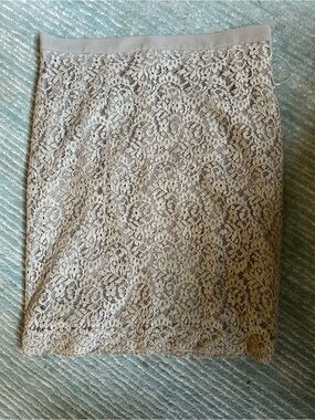 Elegant Lace Pencil Mini Skirt in Light Gray